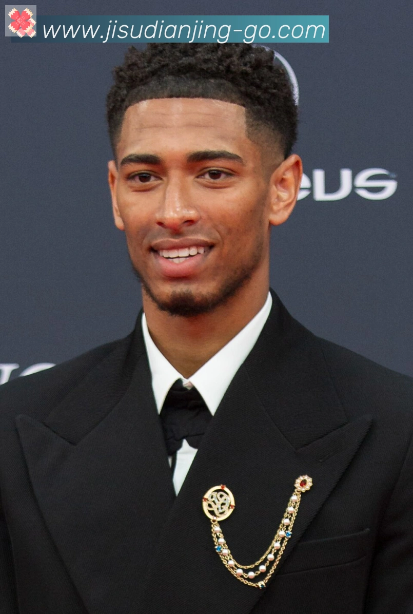 维尼修斯